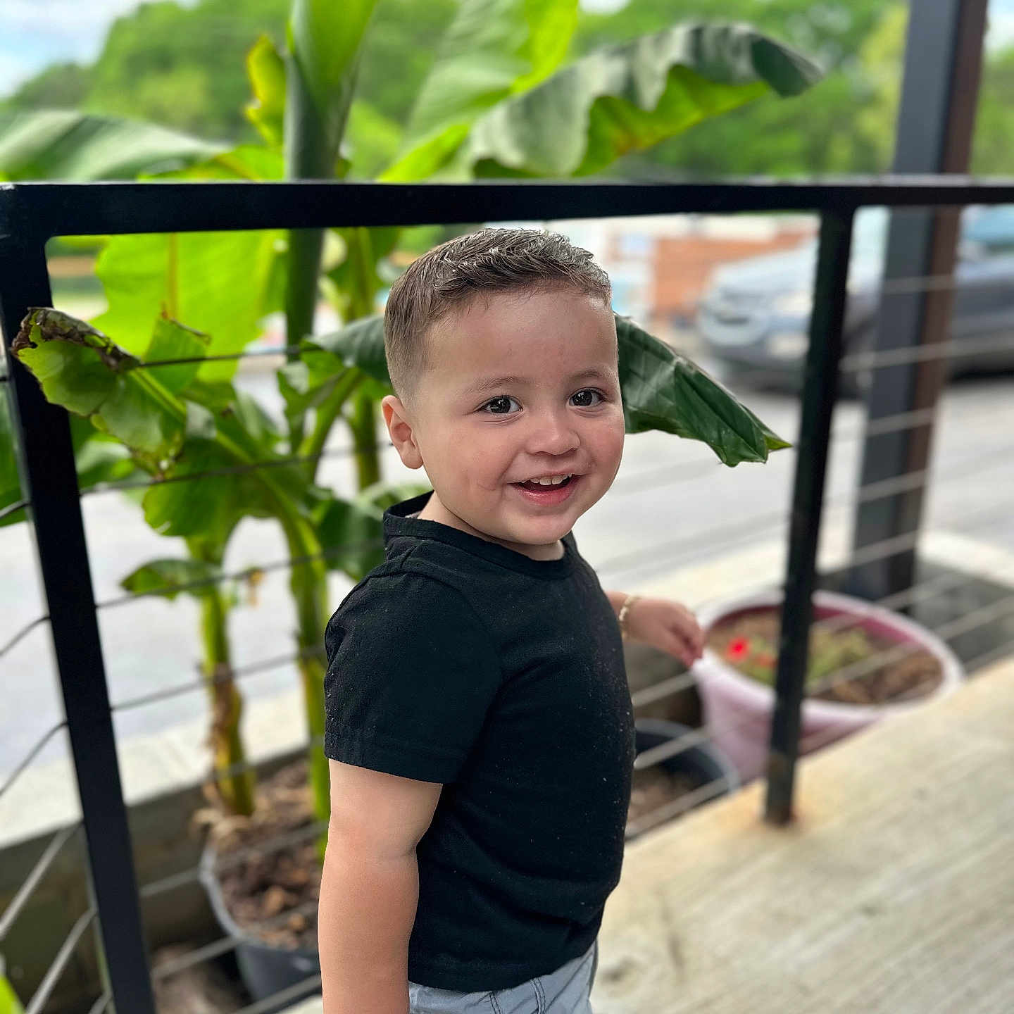 Dayven joined the competition — help win amazing prizes! background, black_shirt, casual_clothing, child, concrete_floor, daylight, gray_shorts, greenery, happy, nature, outdoor, person, plants, portrait, pot, railing, short_hair, smiling, toddler, urban