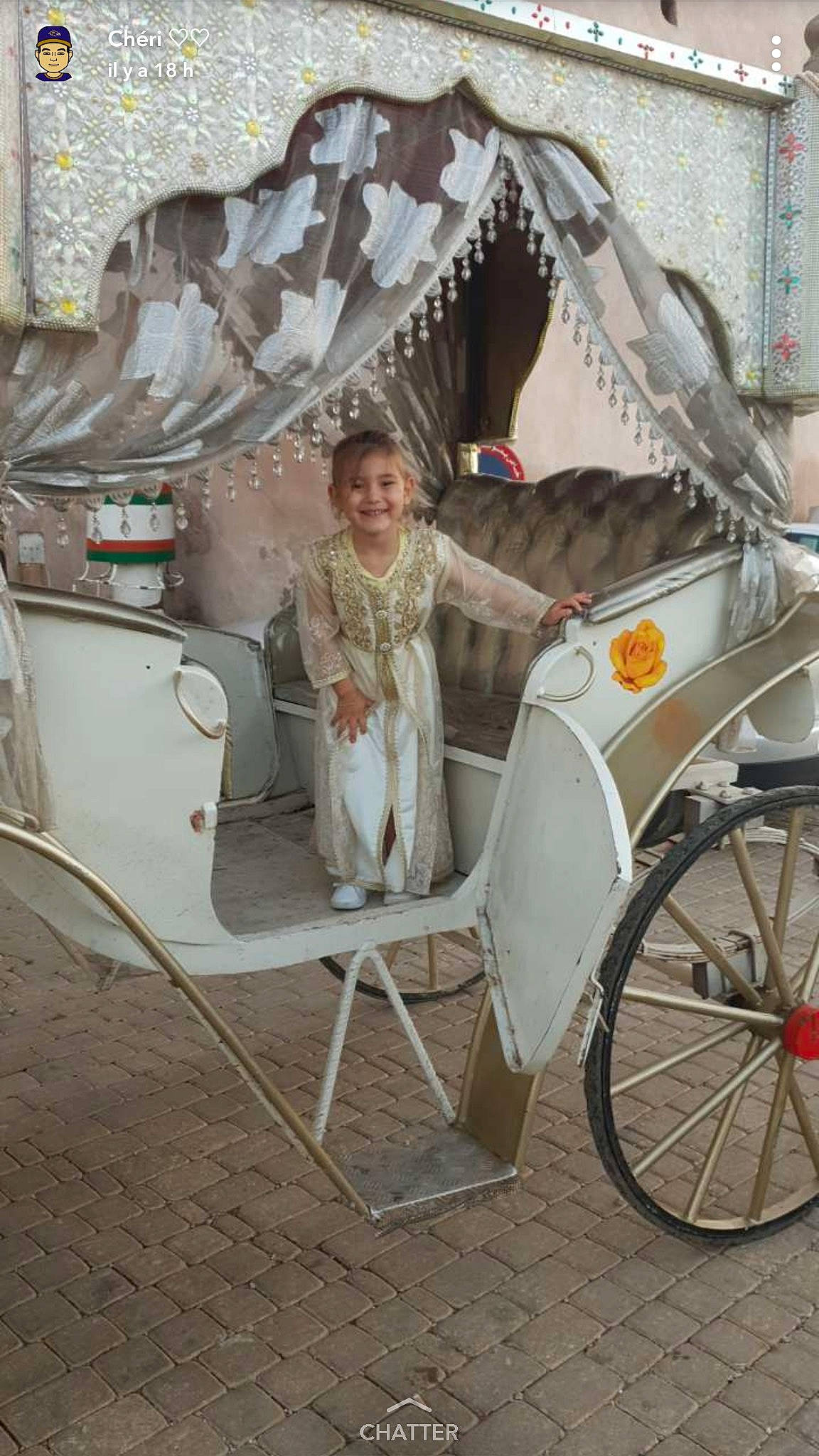 Kattleya a rejoint le concours — aidez-le/la à gagner de superbes lots ! carriage, cart, chariot, headwear, joy, mode_of_transport, person, product, rickshaw, vehicle, wagon