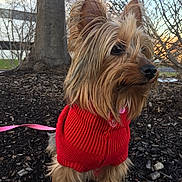 Coco is registered to the contest to win money with this photo: