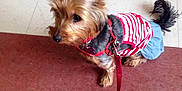 Coco is registered to the contest to win money with this photo:
