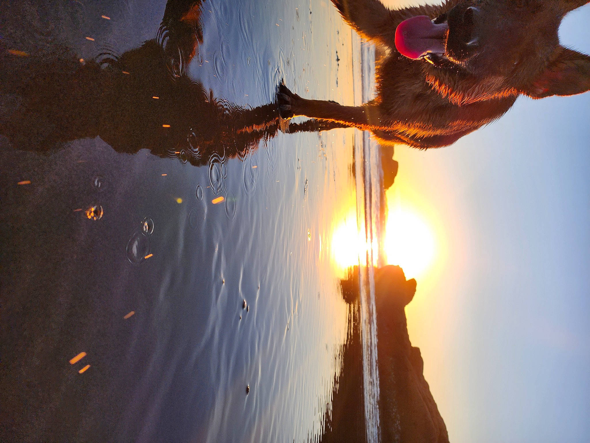 Ezra is registered to the contest to win money with this photo: astronomical_object, atmosphere, atmospheric_phenomenon, backlighting, body_of_water, cloud, geological_phenomenon, happy, heat, lens_flare, light, lighting, people_in_nature, sky, sun, sunlight, sunrise, tints_and_shades, tree, water