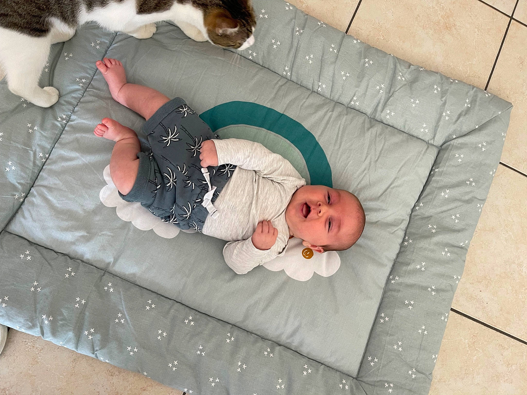 Noa a rejoint le concours — aidez-le/la à gagner de superbes lots ! baby, baby_products, baby_toddler_clothing, bedding, cat, child, comfort, domestic_short_haired_cat, felidae, fur, lap, linens, nap, pattern, person, room, sock, tail, toddler, whiskers