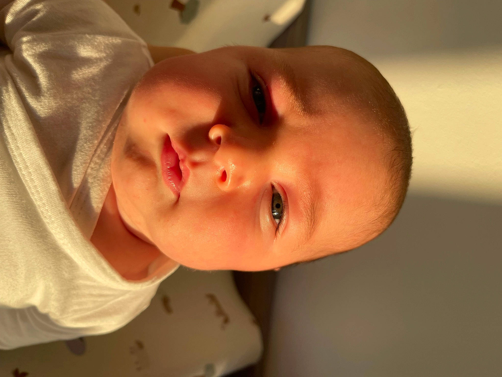 Noa a rejoint le concours — aidez-le/la à gagner de superbes lots ! baby, cheek, chin, collar, ear, eye, eyebrow, eyelash, forehead, happy, head, iris, lip, mouth, neck, nose, person, skin, sleeve, smile