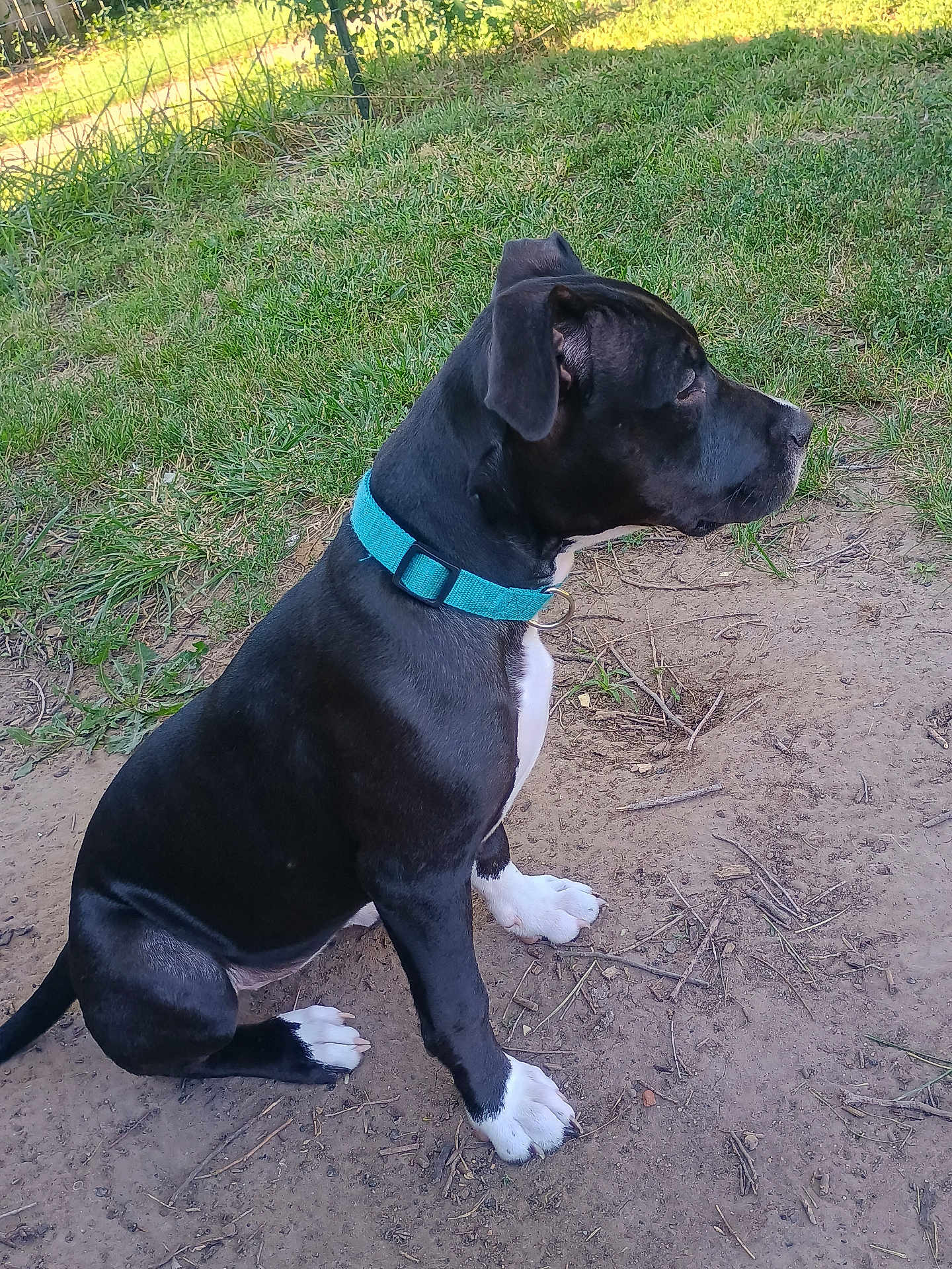 Xena