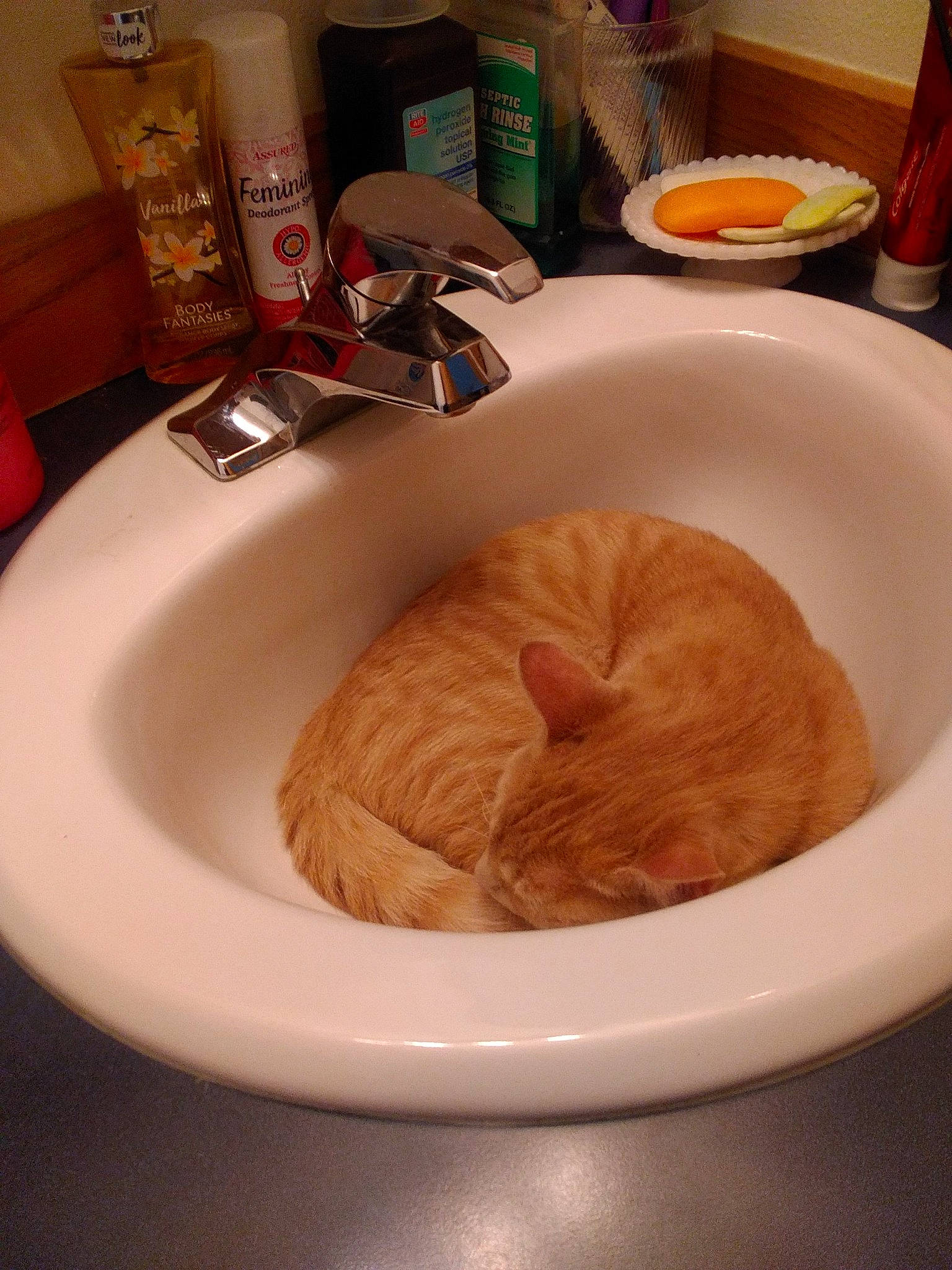 Mottz is registered to the contest to win money with this photo: baking, bathroom, comfort_food, cooking, countertop, cuisine, dish, dishware, food, ingredient, kitchen_utensil, plate, plumbing_fixture, produce, recipe, serveware, sink, table, tableware, tap