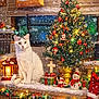 cat, white_cat, christmas_tree, christmas_ornaments, holiday_decorations, presents, snow, snow_effect, lantern, garland, stocking, wooden_furniture, festive_lights, indoor, window, cross_ornament, snowman_figurine, red_bow, holiday_season, decorated_table