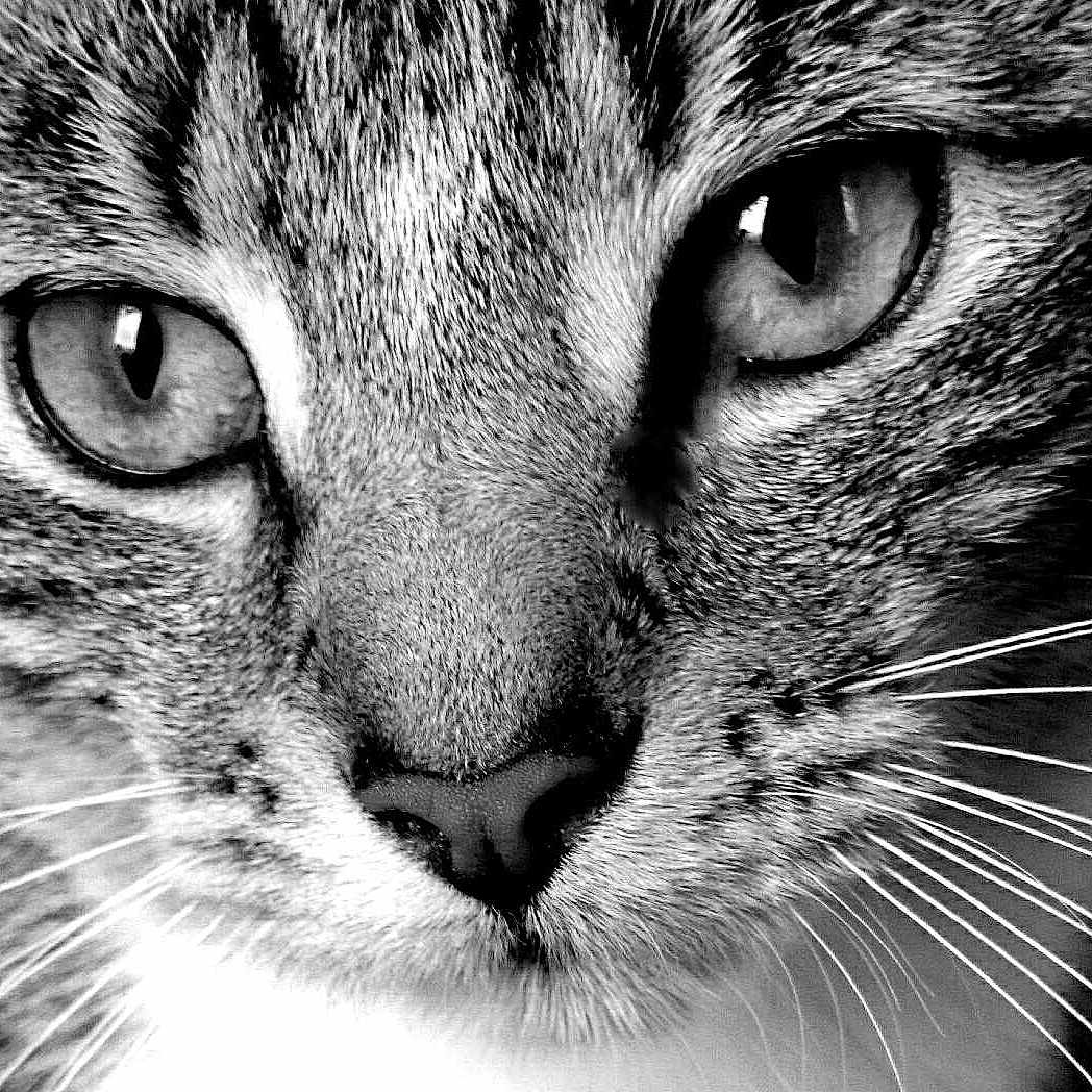 Teddy joined the competition — help win amazing prizes!