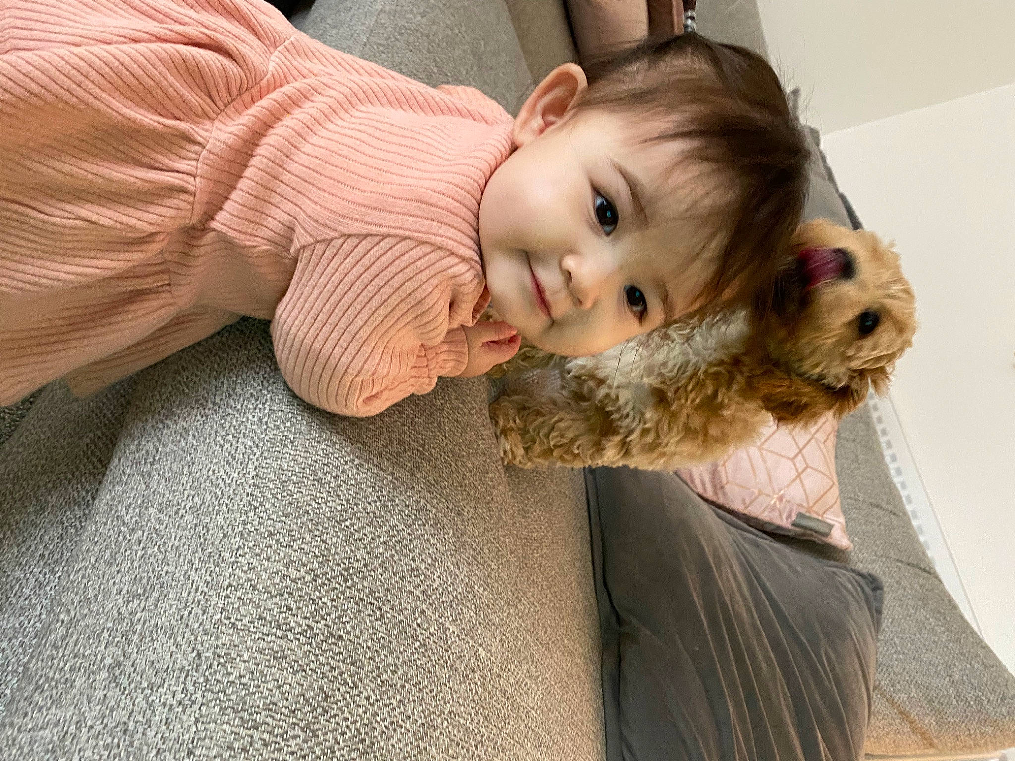 Indie joined the competition — help win amazing prizes! baby, baby_toddler_clothing, blond, cheek, child, comfort, eye, face, fawn, flooring, fur, happy, head, iris, lip, nose, person, skin, smile, toddler