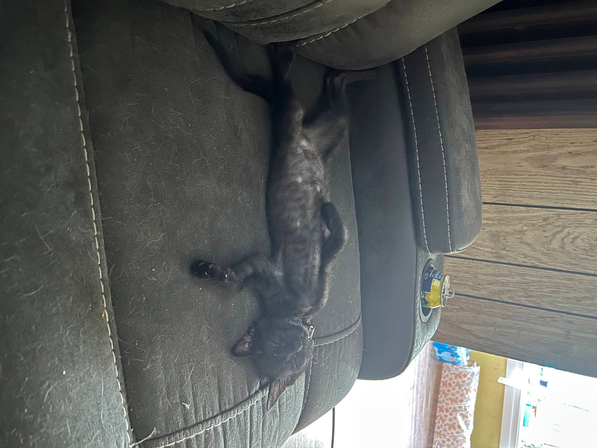 Jose joined the competition — help win amazing prizes! auto_part, automotive_design, automotive_exterior, automotive_lighting, automotive_tire, automotive_wheel_system, bag, blazer, bumper, button, denim, dress_shirt, electric_blue, fashion_accessory, grey, hood, metal, sleeve, vehicle_door, wood