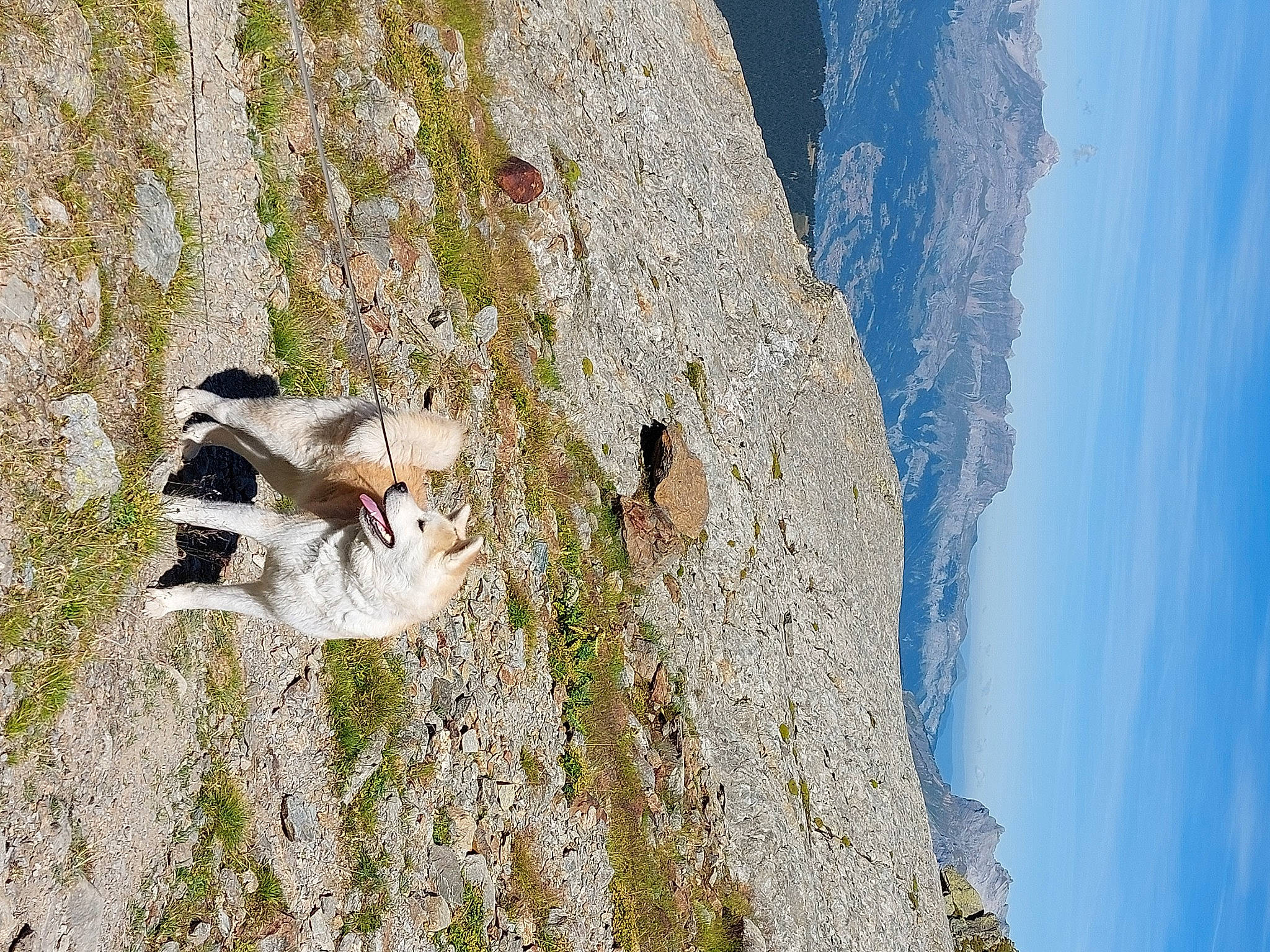 Ohana a rejoint le concours — aidez-le/la à gagner de superbes lots ! adventure, arete, batholith, bedrock, carnivore, cliff, fault, klippe, landscape, massif, mountain, mountain_range, outcrop, plant, recreation, rock, sky, slope, sport_climbing, wood