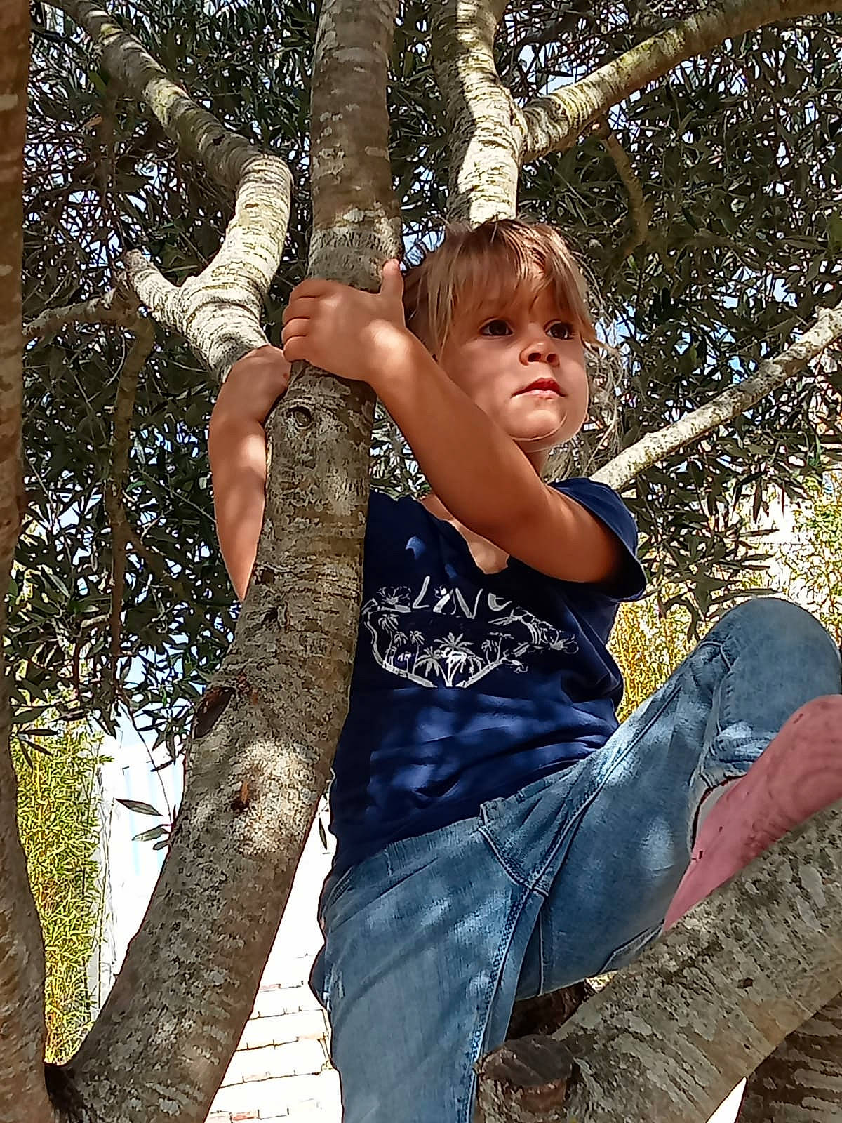 Louise participe au concours pour gagner de l'argent avec cette photo : branch, denim, elbow, electric_blue, forest, fun, gesture, grass, happy, jeans, leisure, people_in_nature, person, recreation, sitting, thigh, tree, trunk, twig, wood