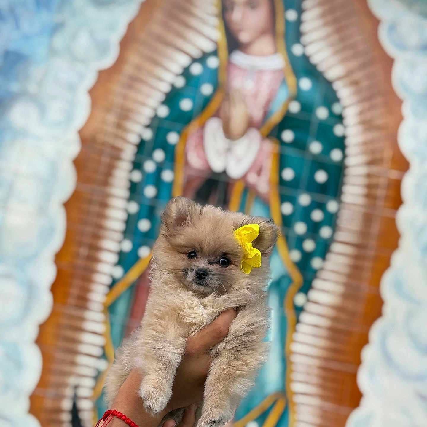 Chiquita