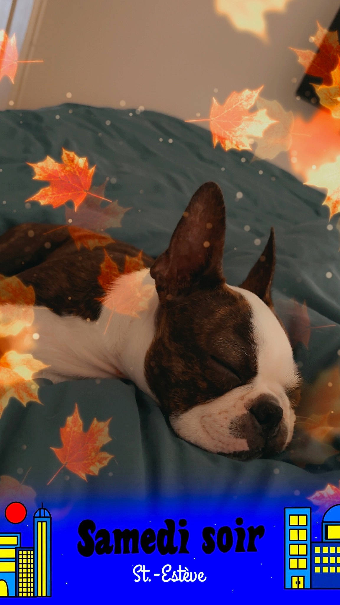 Urus a rejoint le concours — aidez-le/la à gagner de superbes lots ! art, bulldog, canidae, carnivore, companion_dog, creative_arts, dog, dog_breed, fawn, happy, logo, non_sporting_group, organism, photo_caption, snout, sporting_group, tail, terrestrial_animal, visual_arts, working_animal