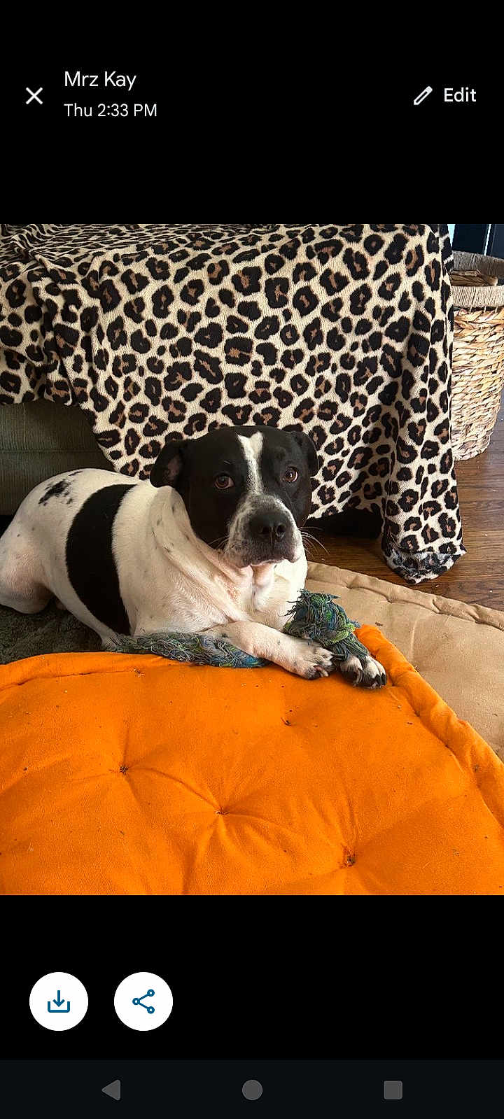 Pablo
