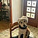 Bandit