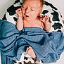 newborn, baby, infant, blanket, blue_blanket, cushion, cow_pattern, foot, hand, face, hair, skin, lying_down, indoors, cute, small, child, expression, portrait, soft_texture