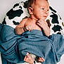 baby, infant, blanket, blue_blanket, cushion, cow_print, feet, hand, skin, face, newborn, portrait, cute, child, resting, indoors, soft_texture, expression, human, laying