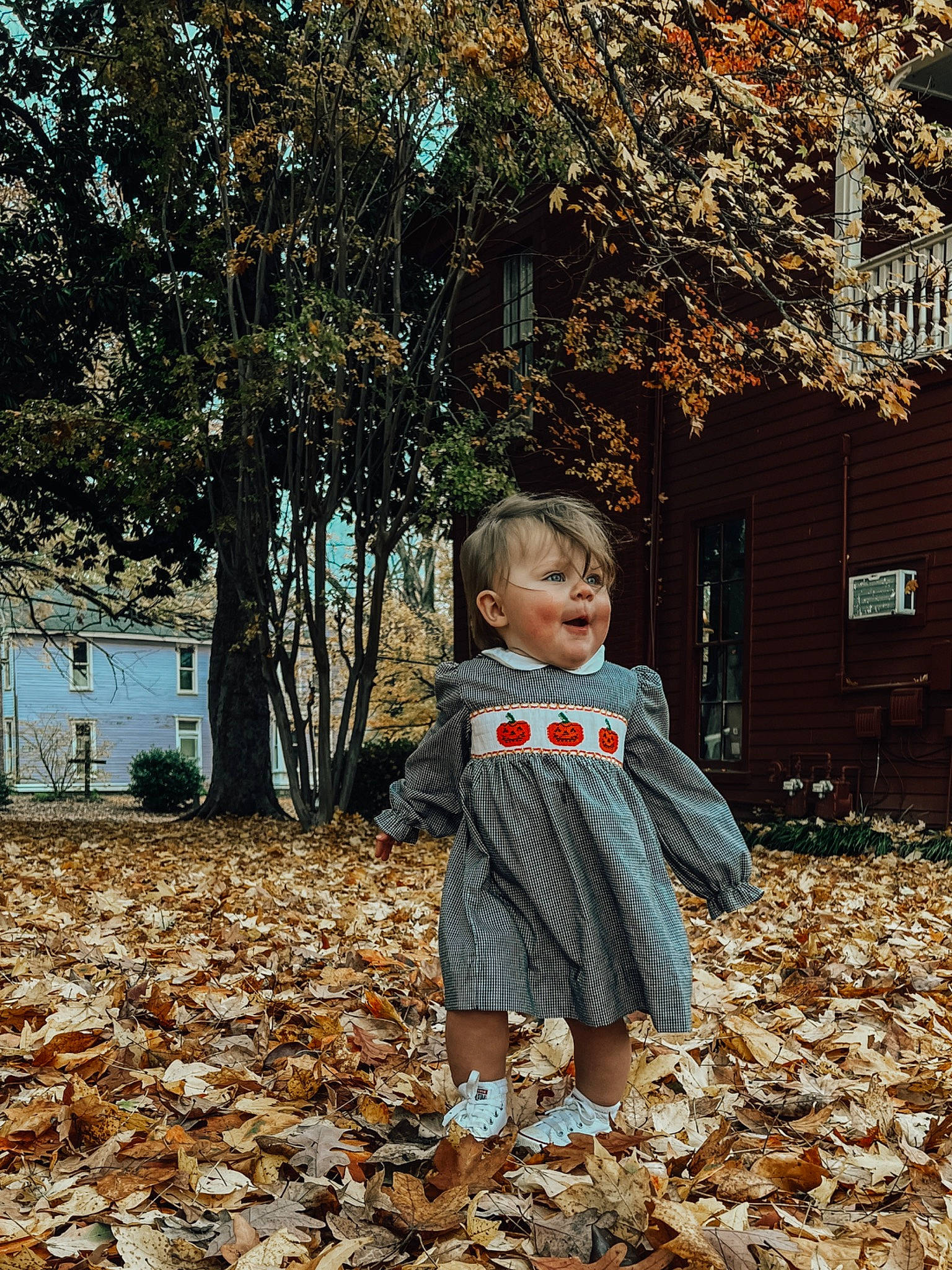 Remington is registered to the contest to win money with this photo: branch, child, deciduous, forest, grass, happy, leaf, leisure, nature, people_in_nature, person, plant, sunlight, tints_and_shades, toddler, tree, trunk, twig, wood, woodland