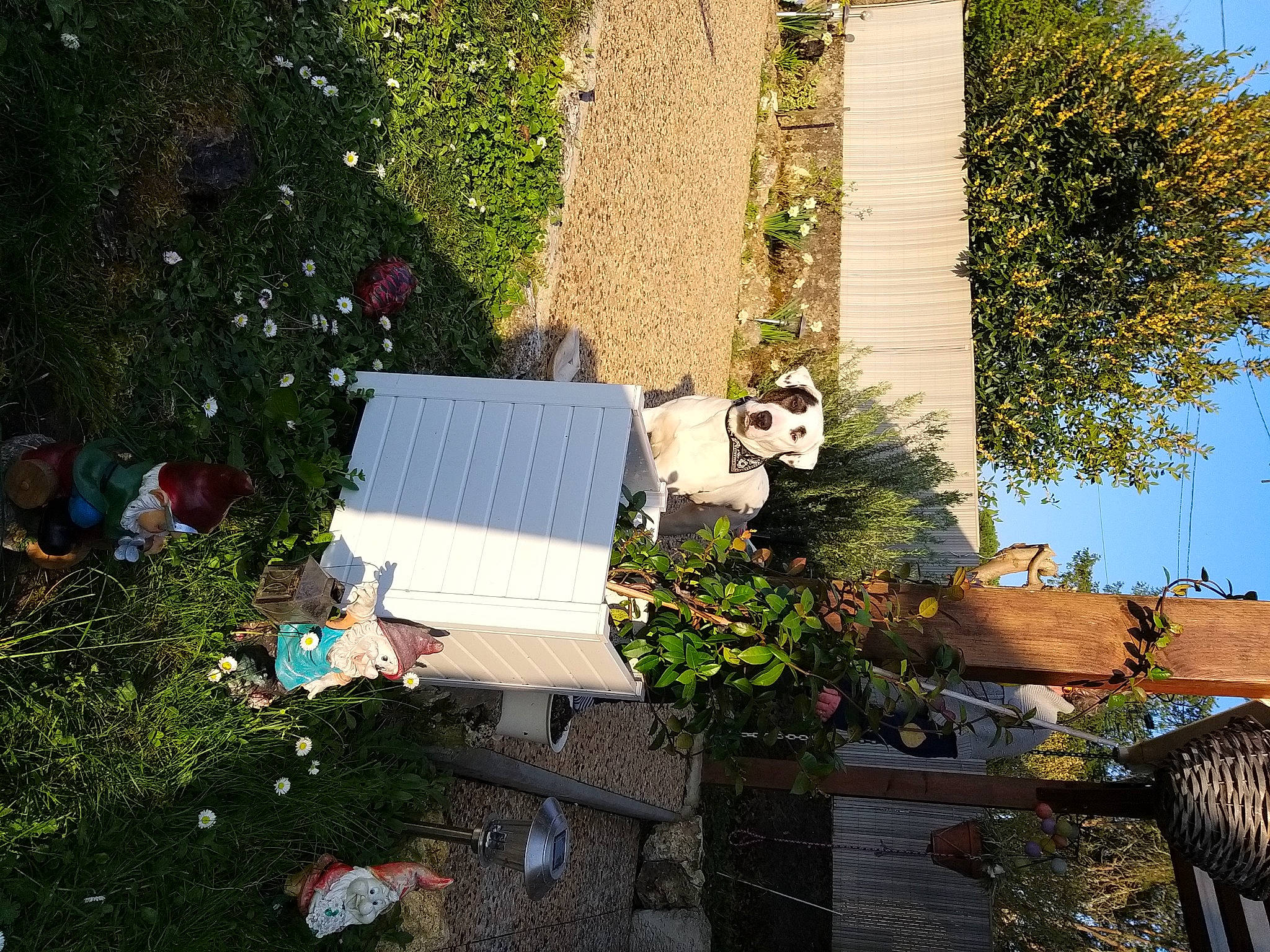 Yushka participe au concours pour gagner de l'argent avec cette photo : adaptation, architecture, building, cottage, garden, grass, home, house, landscape, leaf, plant, roof, shrub, tree, yard