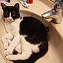 cat, sink, bathroom, toiletries, toothpaste, deodorant, tap, black_and_white, pet, relaxed, fur, whiskers, curious, domestic, animal, indoor, countertop, mirror, pink_nose, one_eye_closed