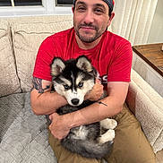 Leia is registered to the contest to win money with this photo: affection, blue_eyes, cap, couch, cozy, curtains, dog, fur, husky, indoor, man, pet, puppy, red_shirt, shorts, sitting, smile, tattoo, window, wooden_table