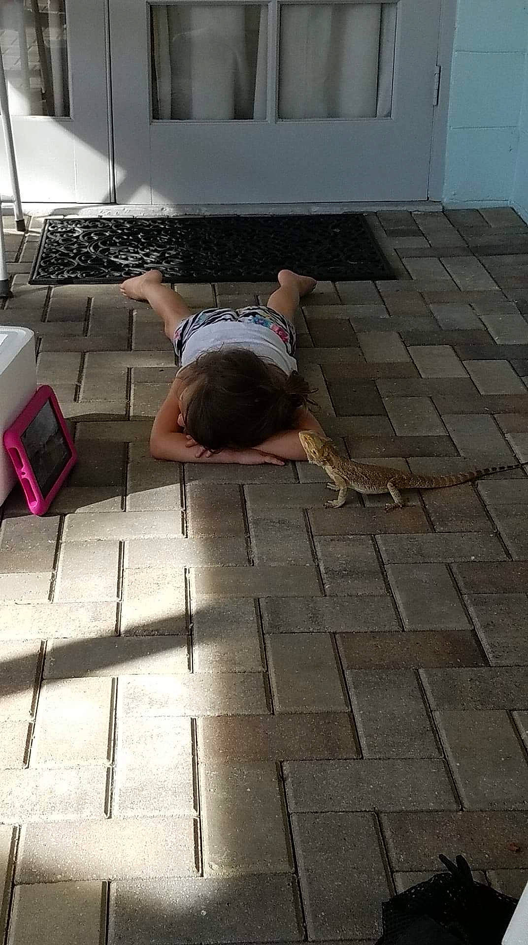 E-lo joined the competition — help win amazing prizes! floor, flooring, hardwood, leg, tile, wood