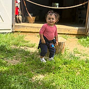 Everly is registered to the contest to win money with this photo: barn, casual_clothing, child, curly_hair, daylight, grass, happy, nature, navy_pants, outdoor, pink_top, playful, portrait, smile, standing, sunlight, toddler, white_shoes, wooden_stump, young_child