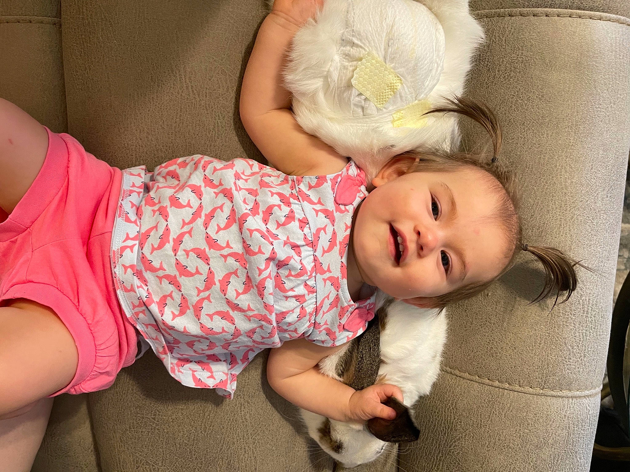 Aubrey Nicole is registered to the contest to win money with this photo: abdomen, baby, baby_products, baby_toddler_clothing, cheek, child, comfort, couch, hand, happy, hat, head, headgear, human_leg, pattern, person, pink, sitting, skin, thigh