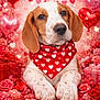 puppy, dog, bandana, red_bandana, hearts, heart_shaped_balloons, roses, flowers, gifts, valentines_day, cute, pet, animal, portrait, close_up, love_theme, decorations, pink_background, red, festive