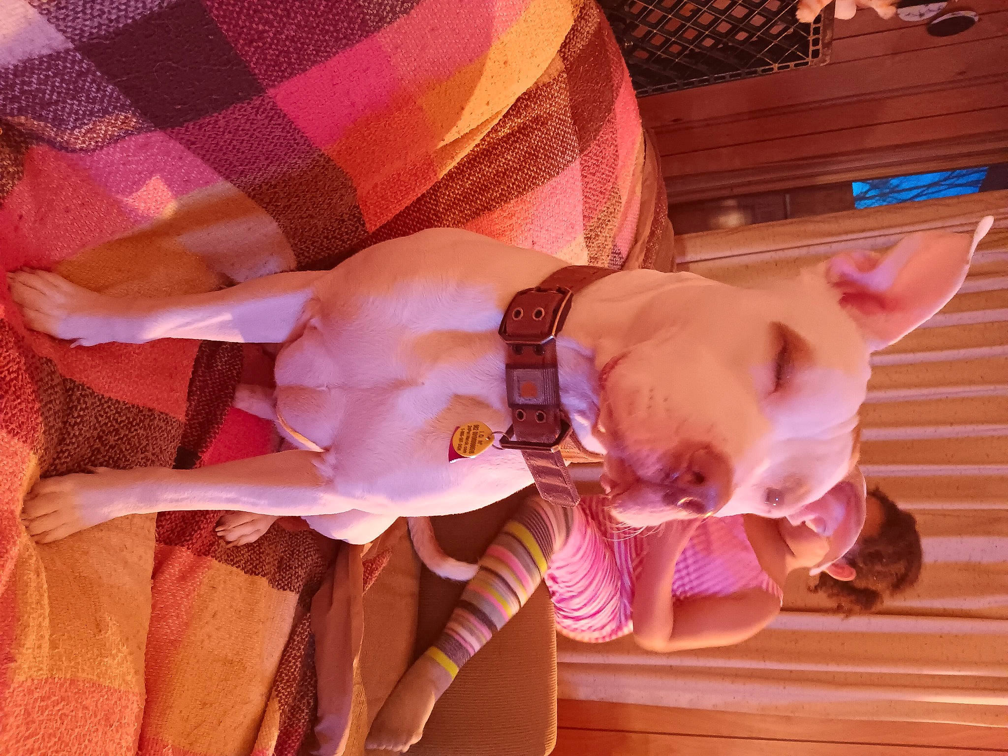 Adonis is registered to the contest to win money with this photo: abdomen, comfort, entertainment, event, flesh, fun, human_leg, lap, magenta, nail, pattern, peach, pink, purple, sunglasses, thigh, tie, violet, watch, wrist