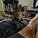 Ziggy