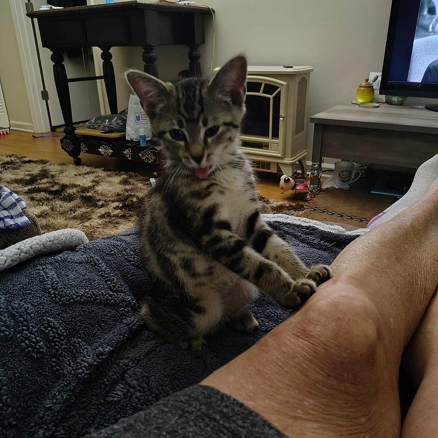 Ziggy