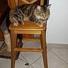 Joy participe au concours pour gagner de l'argent avec cette photo :