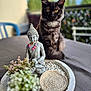 cat, buddha_statue, flower_necklace, table, plants, decor, outdoor, blurred_background, yellow_eyes, black_cat, statue, meditation, serene, peaceful, ornament, nature, furniture, relaxation, closeup, still_life