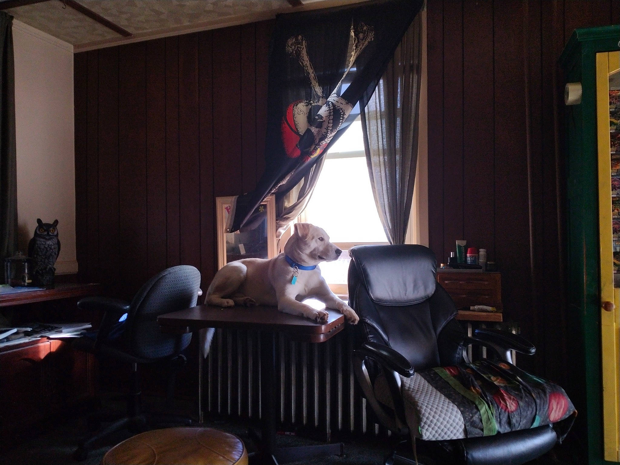 Axle is registered to the contest to win money with this photo: audio_equipment, bookcase, building, chair, comfort, couch, curtain, darkness, flooring, hardwood, interior_design, leisure, living_room, luggage_and_bags, picture_frame, room, sitting, window_treatment, wood, wood_flooring