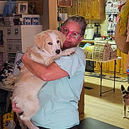 Possum joined the competition — help win amazing prizes! woman, puppy, dog, indoor, glasses, holding, kitchen, wooden_cabinets, table, floor, pet, animal, person, casual_clothing, light, home, furniture, curious, cozy, background