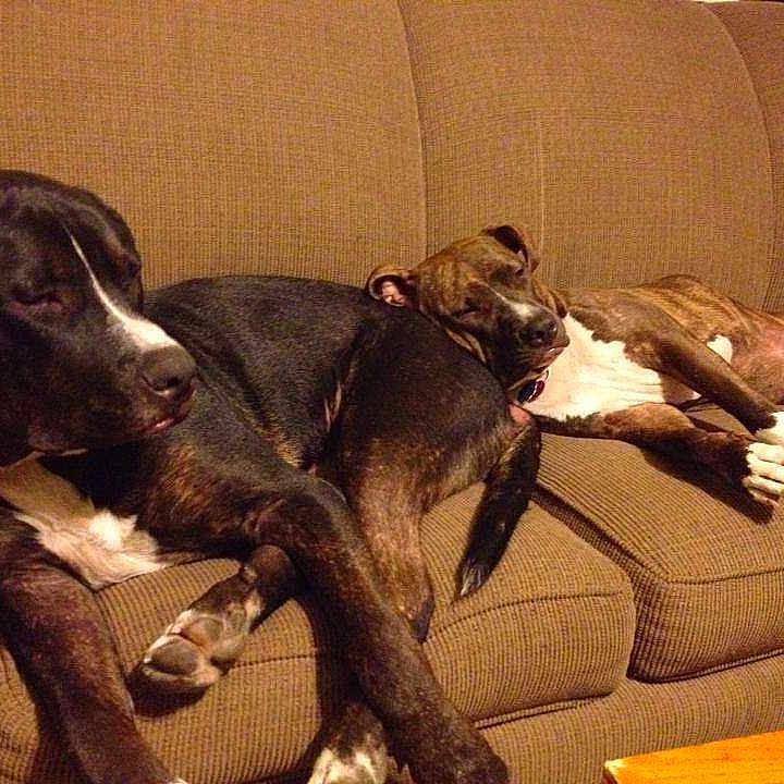 Hunter joined the competition — help win amazing prizes!