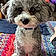 Wally