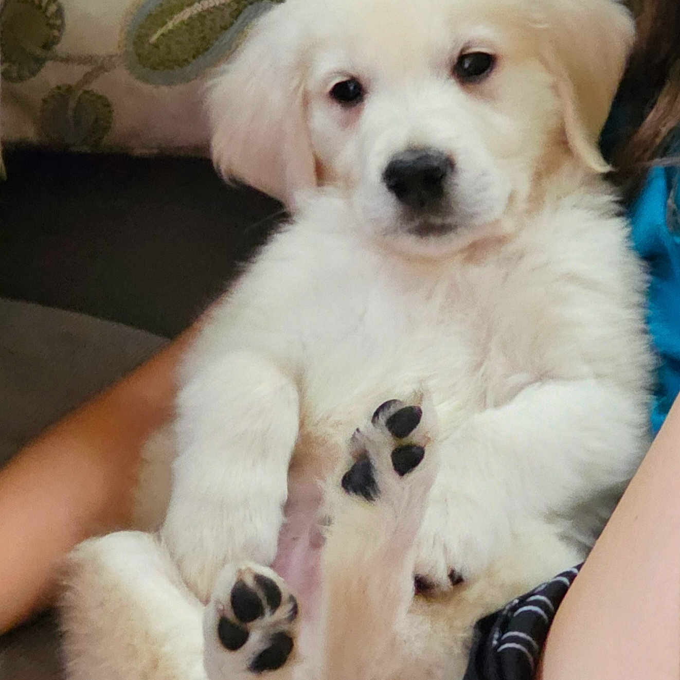 Bailey