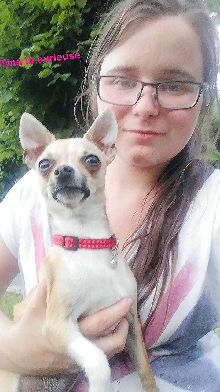 Tina Et Kynia participe au concours pour gagner de l'argent avec cette photo : ancient_dog_breeds, canidae, carnivore, chihuahua, companion_dog, dog, dog_breed, ear, fawn, mammal, photo_caption, puppy_love, snout, tenterfield_terrier, toy_dog, toy_fox_terrier, vertebrate