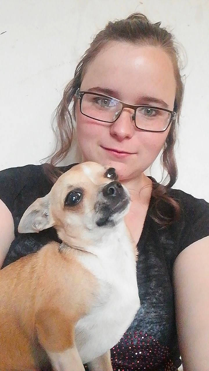 Tina Et Kynia a rejoint le concours — aidez-le/la à gagner de superbes lots ! canidae, carnivore, chihuahua, companion_dog, dog, dog_breed, fawn, mammal, puggle, puppy, puppy_love, snout, toy_dog, vertebrate