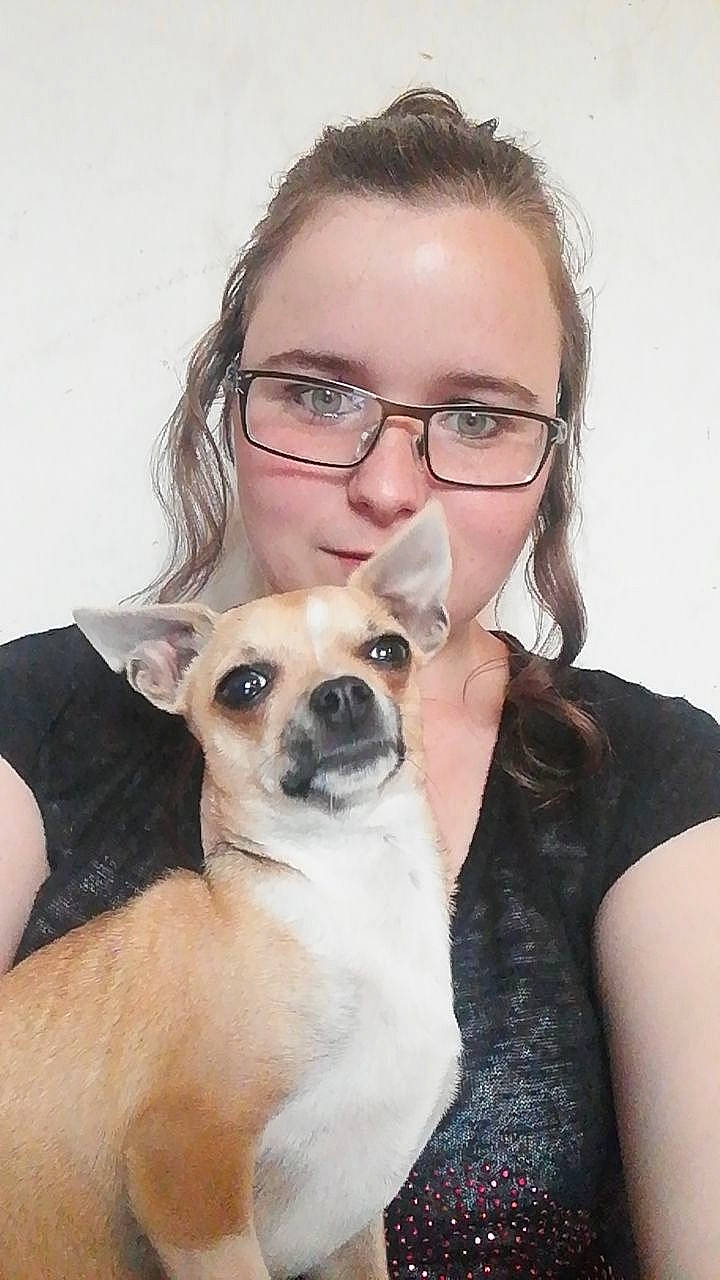 Tina Et Kynia participe au concours pour gagner de l'argent avec cette photo : canidae, carnivore, chihuahua, companion_dog, dog, dog_breed, fawn, glasses, head, mammal, nose, puppy, puppy_love, snout, toy_dog, vertebrate, whiskers