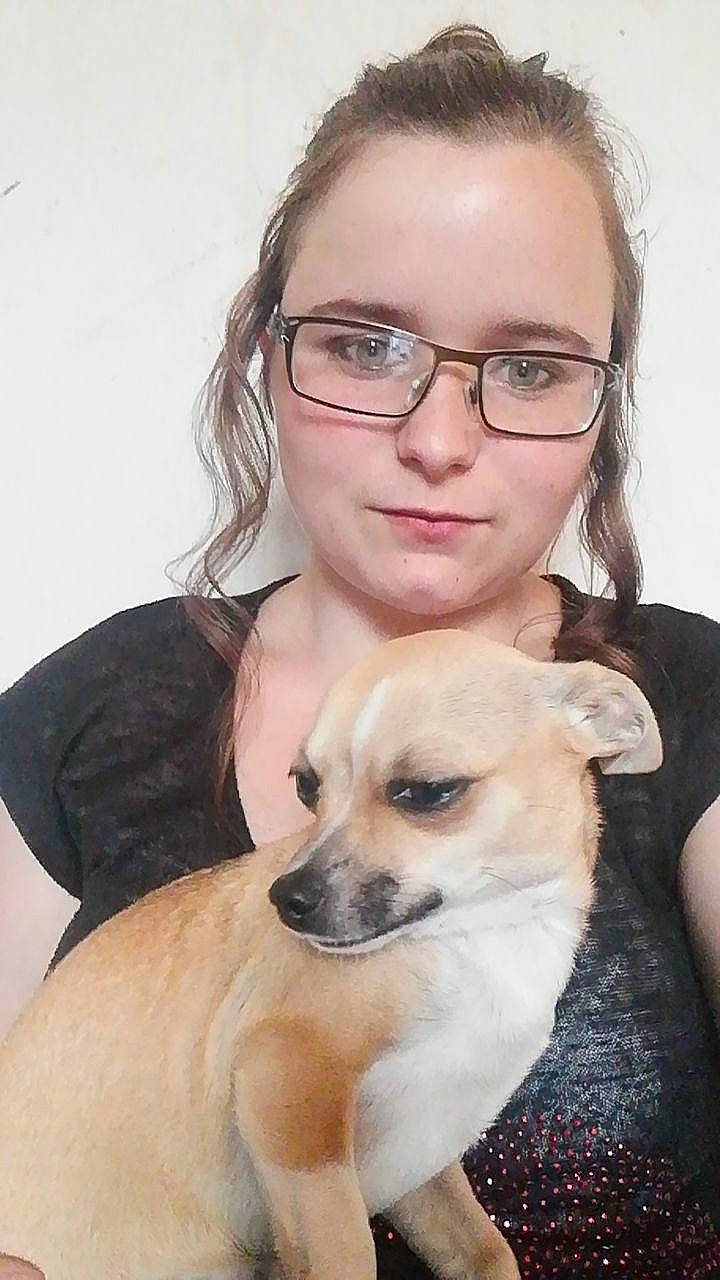 Tina Et Kynia a rejoint le concours — aidez-le/la à gagner de superbes lots ! canidae, carnivore, chihuahua, companion_dog, dog, dog_breed, fawn, glasses, mammal, puppy, puppy_love, skin, snout, vertebrate