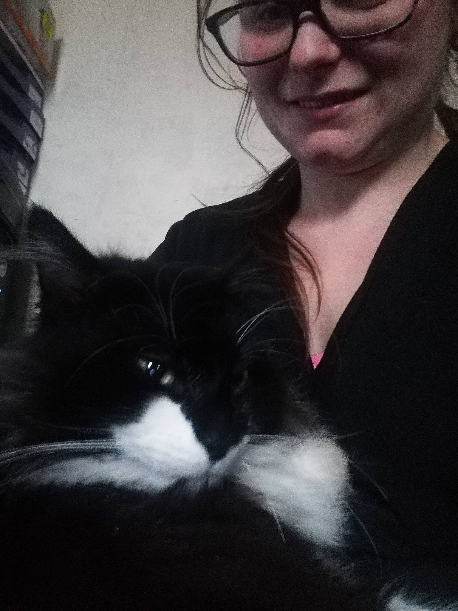 Félix participe au concours pour gagner de l'argent avec cette photo : black_and_white, black_cat, black_hair, carnivore, cat, ear, eye, felidae, fur, glasses, hair, long_hair, norwegian_forest_cat, nose, photography, sitting, skin, small_to_medium_sized_cats, snout, whiskers