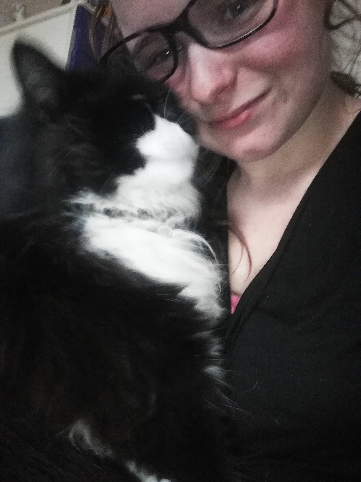 Félix participe au concours pour gagner de l'argent avec cette photo : black_and_white, carnivore, cat, companion_dog, cool, ear, eye, eyewear, felidae, fur, glasses, hair, long_hair, nose, photography, skin, small_to_medium_sized_cats, smile, snout, whiskers