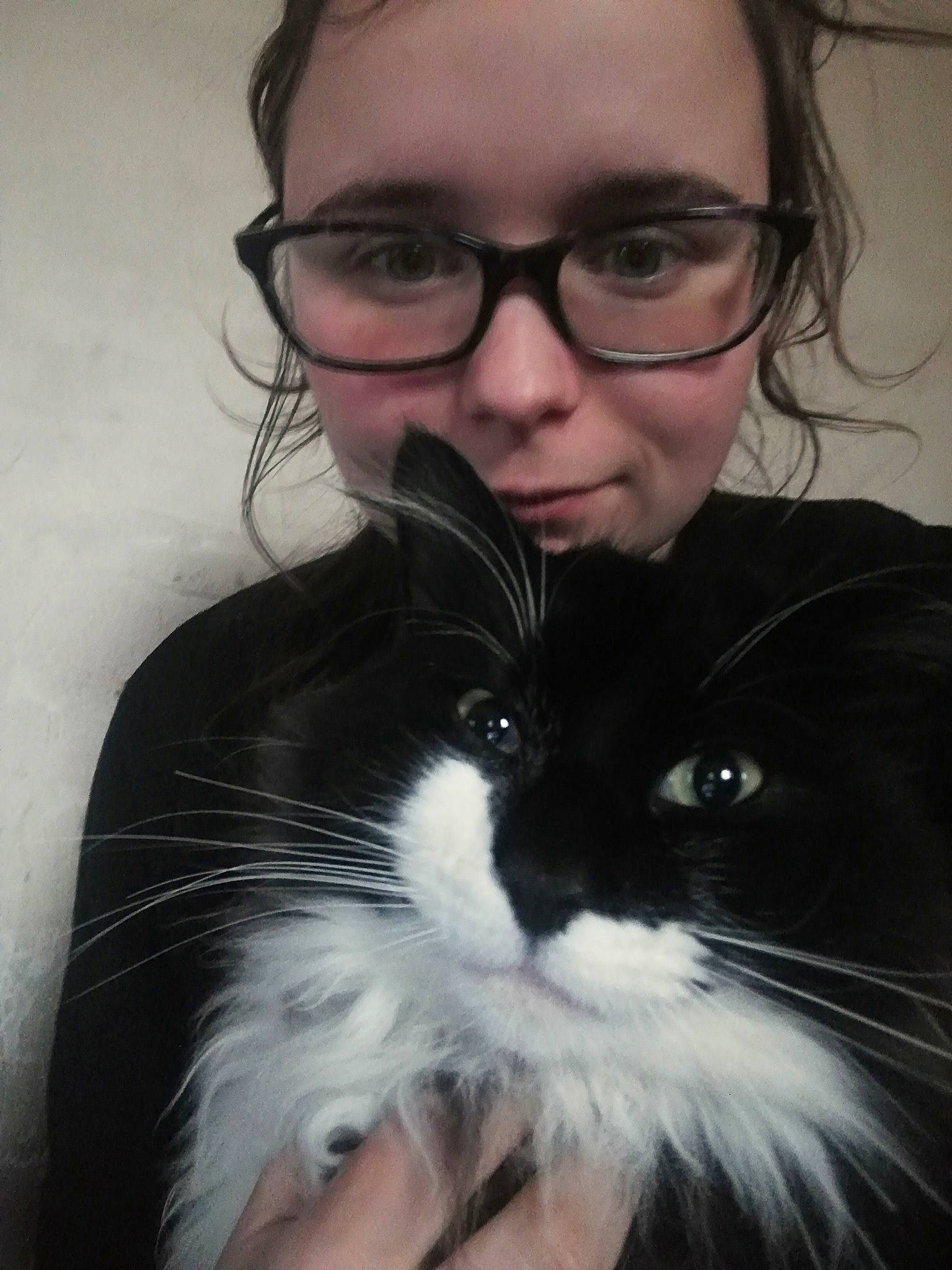 Félix participe au concours pour gagner de l'argent avec cette photo : black_hair, cat, cheek, chin, eye, eyebrow, eyewear, facial_hair, felidae, forehead, fur, glasses, hair, hairstyle, long_hair, moustache, nose, photography, small_to_medium_sized_cats, whiskers