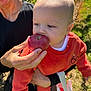 Bohdi is registered to the contest to win money with this photo: baby, child, apple, orange_clothing, person, adult_hand, outdoor, orchard, fruit, nature, greenery, holding, curious, sunlight, daylight, head, face, skin, hand, candid