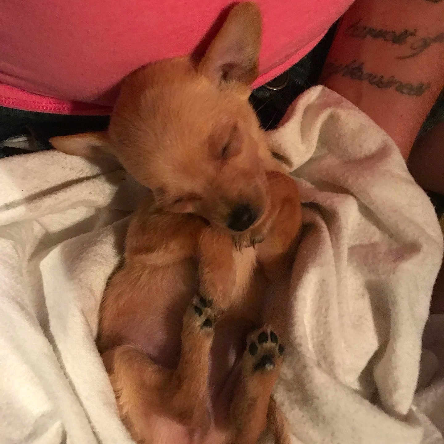 Ellie