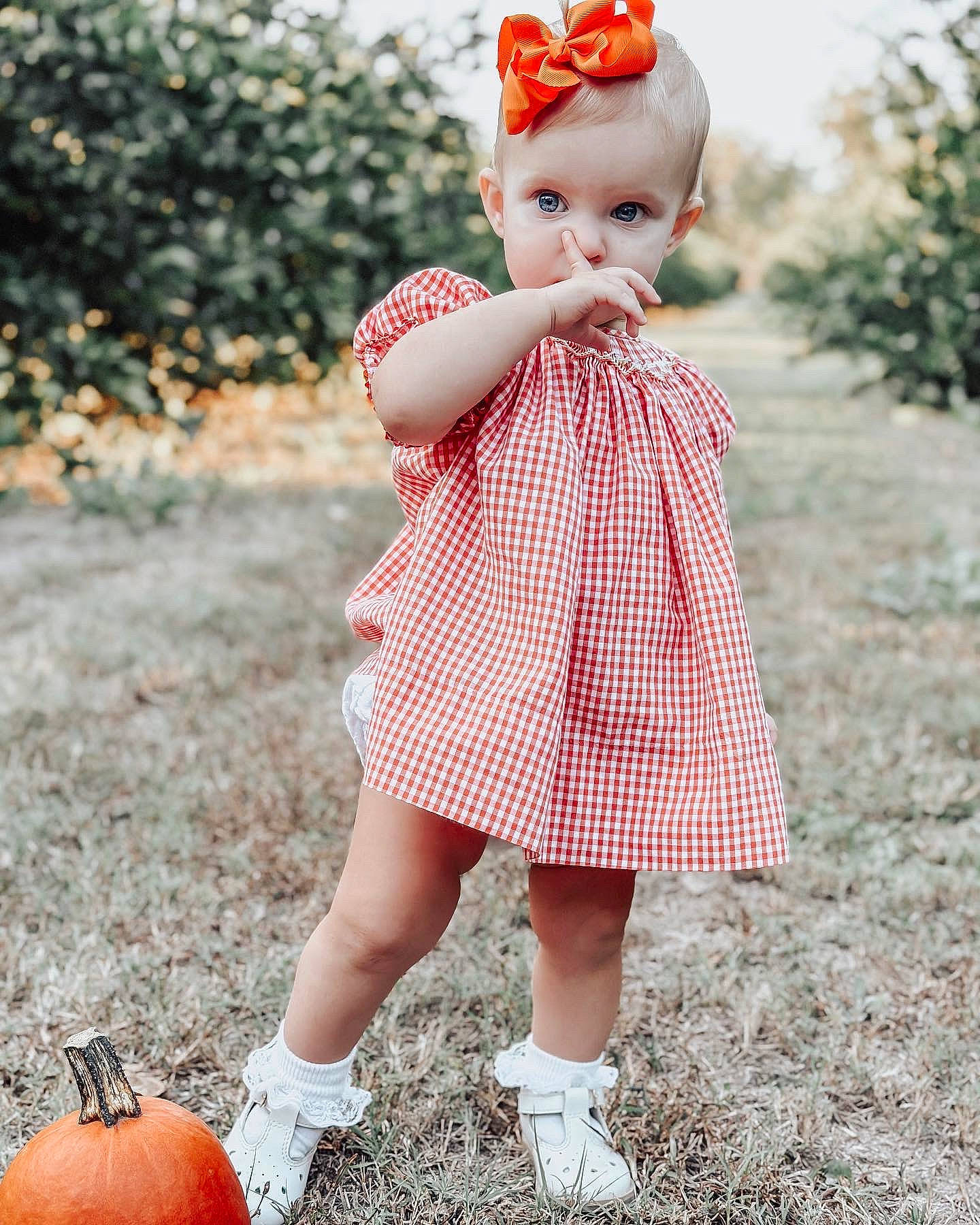 Everly joined the competition — help win amazing prizes! baby_toddler_clothing, calabaza, cucurbita, doll, dress, footwear, grass, hand, people_in_nature, person, photograph, pink, plant, pumpkin, red, shoe, sleeve, tartan, toy, white