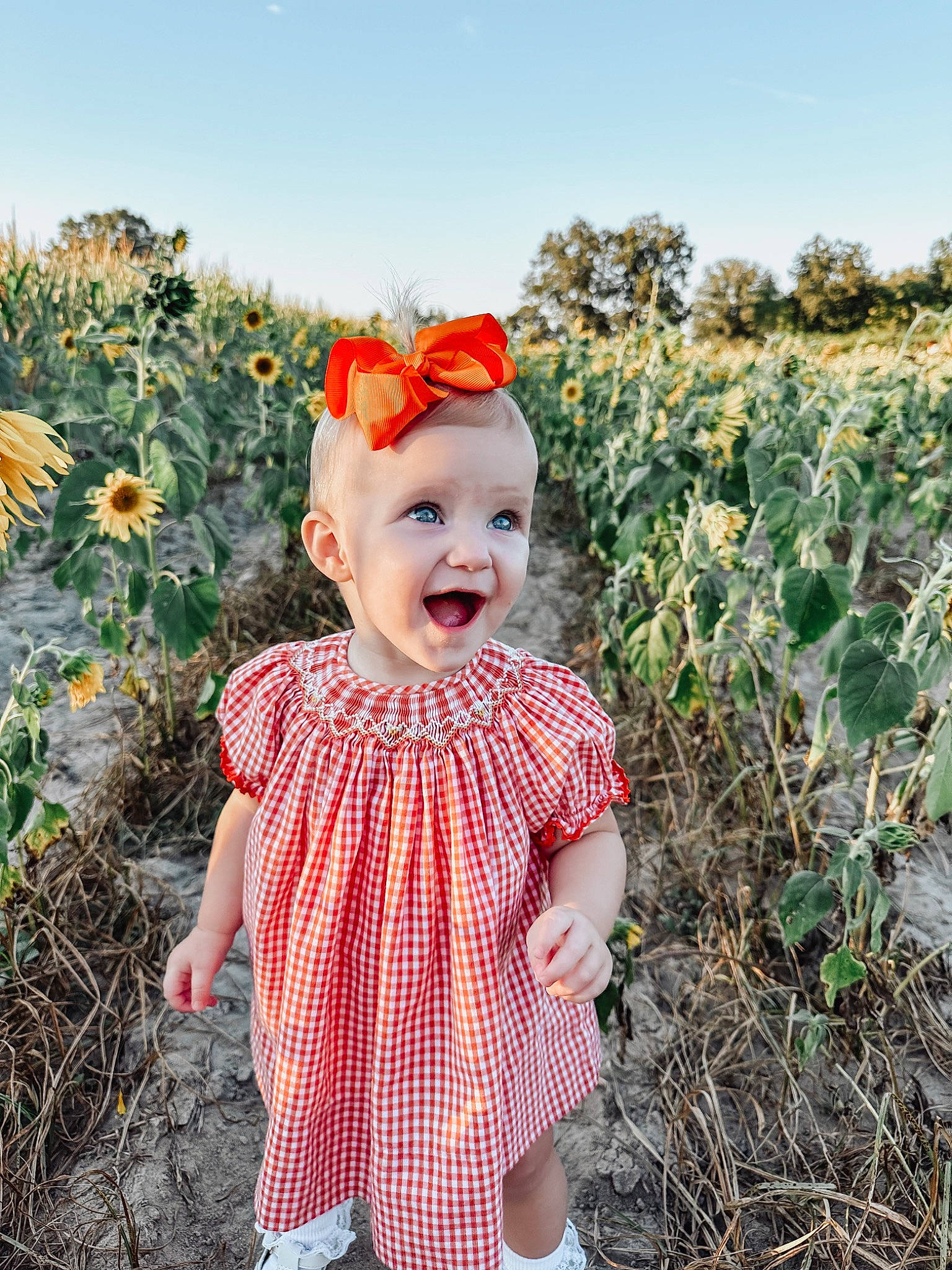 Everly is registered to the contest to win money with this photo: baby, baby_toddler_clothing, child, flower, grass, grassland, happy, hat, headgear, headwear, landscape, pattern, people_in_nature, person, petal, plant, prairie, sky, sleeve, smile